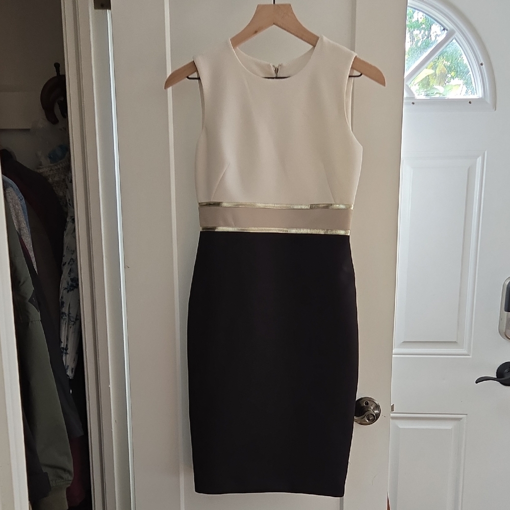 Elegant Calvin Klein Black and White Colorblock Dress